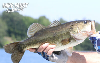 Why Do Professional Athletes Love Largemouth Bass Fishing?